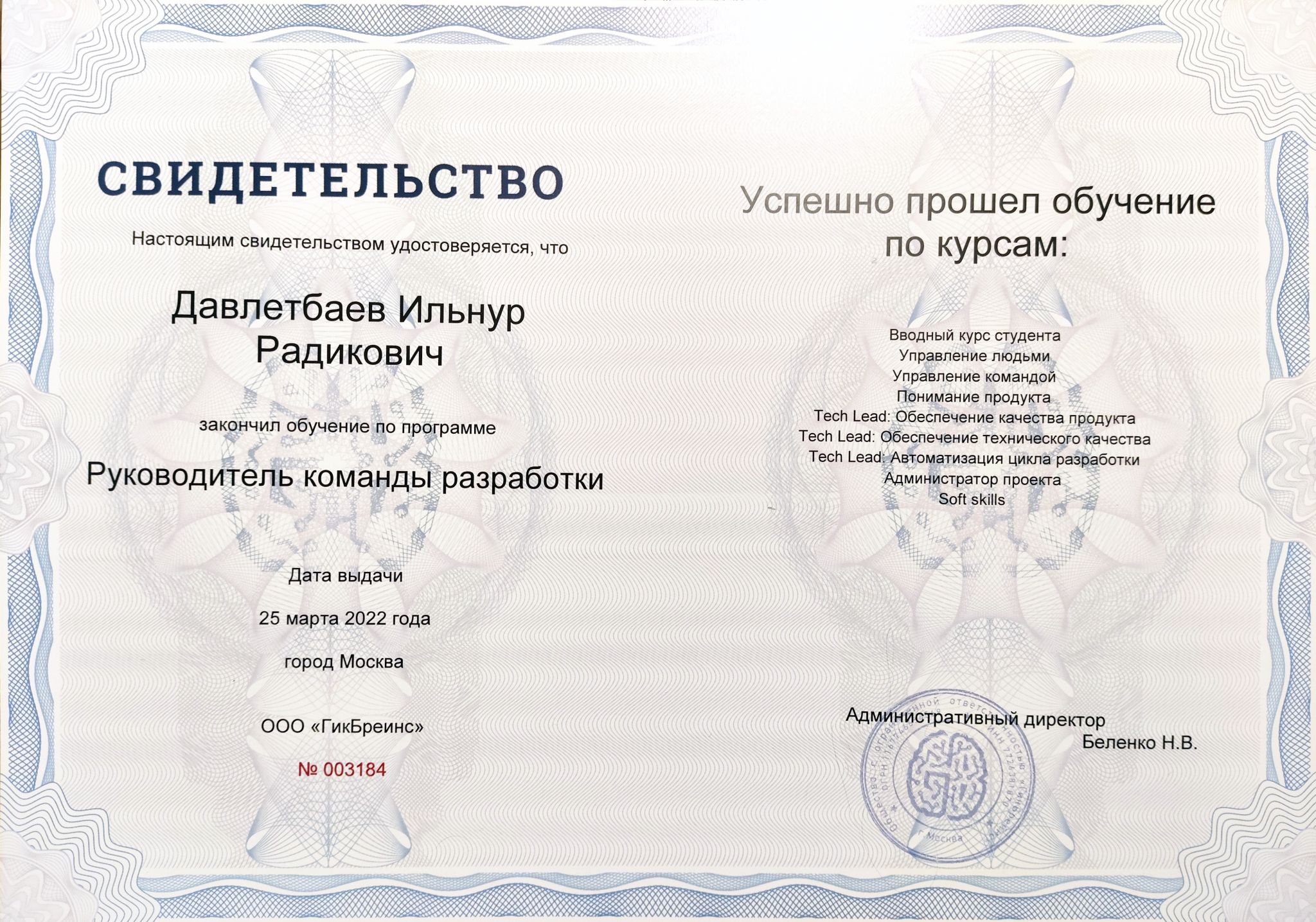 Руководитель команды разработки